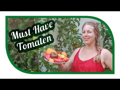 Video: Die Besten Sorten Frühreifer Tomaten Der Firma "Eurosemena", Barnaul