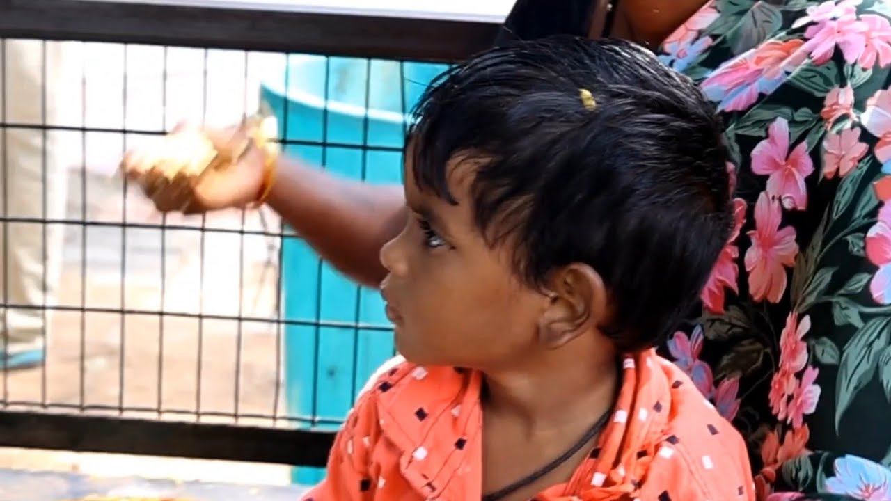 #shortvideo| 10-02-26#fooddonation#love 💯❤️