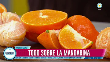 ¿Cuál es la temporada de mandarina?