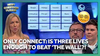 Mind-blowing rounds of The Wall! | Only Connect screenshot 5