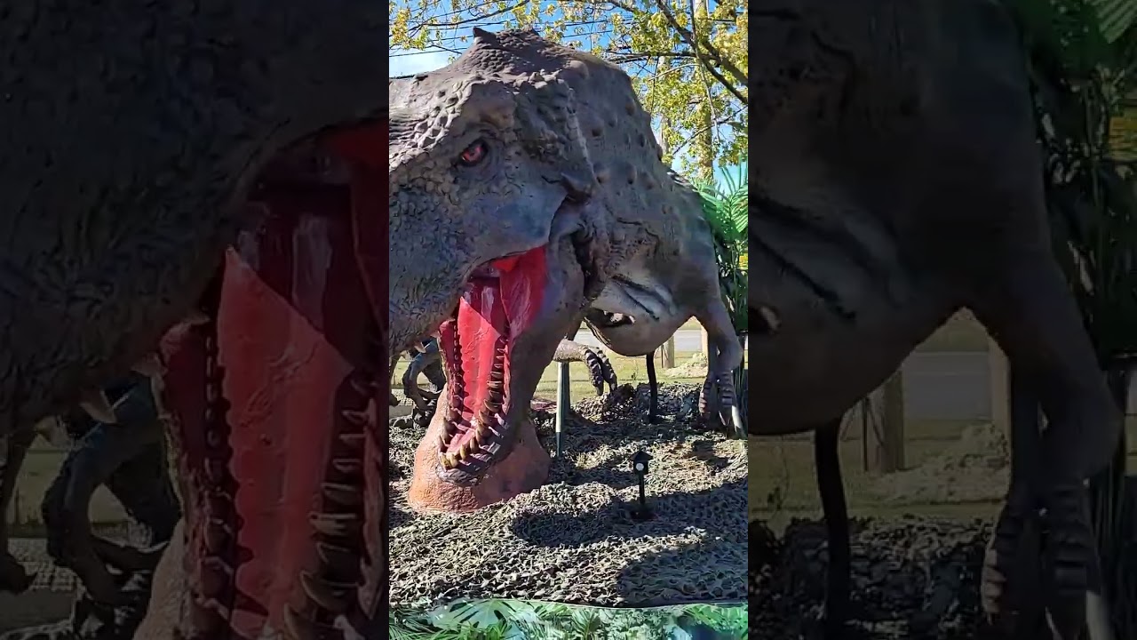 I Heart Cookies,  a Dinosaur experience. 