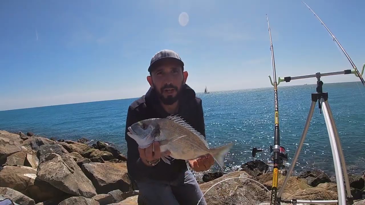 Download "FINALMENTE LE ORATE!" pesca a fondo dalla scogliera (Fished to Fish).
