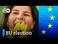 EU election analysis: What does the rise of smaller parties mean? |DW News