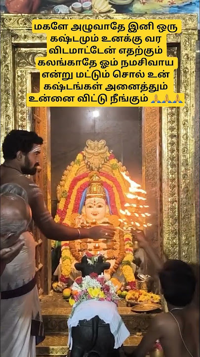 மகளே அழுவாதே இனி ஒரு கஷ்டமும் உனக்கு வர விடமாட்டேன் ஓம் நமசிவாய என்று மட்டும் சொல் உன் கஷ்டங்கள் 🙏
