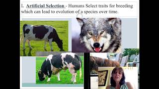 Mechanisms of Evolution