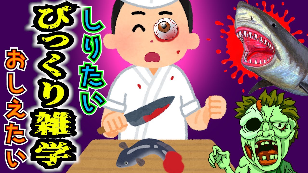 【びっくり雑学】 メリーさんの秘密！世界一痛いアリ！？ ねば～る君のしりたいおしえたい 怖い雑学  【恐怖の雑学】