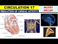 Circulation NCERT 17 | Regulation of cardiac activity | Medulla | Myogenic heart | NEET| Adrenaline