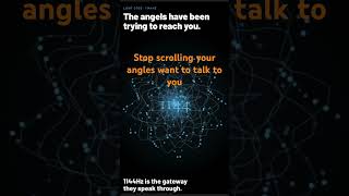 Your angles taking to you Free Frequencies in Bio #1144#angel#frequency