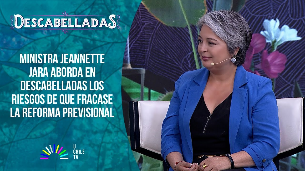 Descabelladas - La interminable trama del Proyecto Dominga