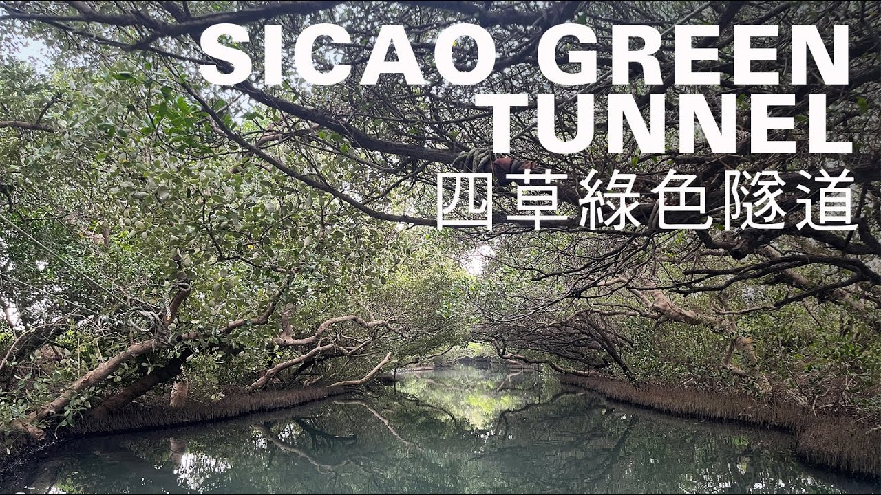 四草綠色隧道散策，台南市區小旅行，體驗𩵚魠魚、虱目魚在地小吃，以及老宅咖啡館、平價民宿｜山上加美Lovely Hill