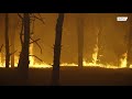 Пожары в Ростовской области