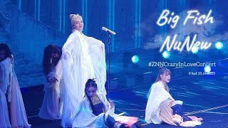 Big Fish (大鱼) - NuNew #ZNNCrazyInLoveConcert #nunew #nananu #zonzon #zeenunew