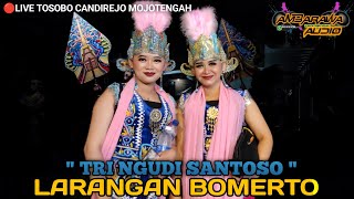 Download Lagu Full Album Lengger Wonosobo • Tri Ngudi Santoso Larangan Bomerto🔴Live Tosobo Candirejo MP3