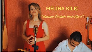 Meliha Kılıç - Hastane Önünde İncir Ağacı