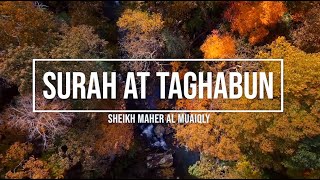 064 | SURAH AT TAGHABUN | SHEIKH MAHER AL MUAIQLY