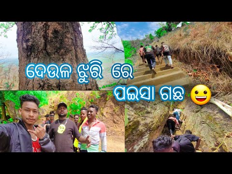 ଦେଉଳ ଝୁରି ରେ ପଇସା ଗଚ୍ଛ #youtube #trending