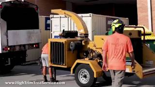 High Trim Tree Service