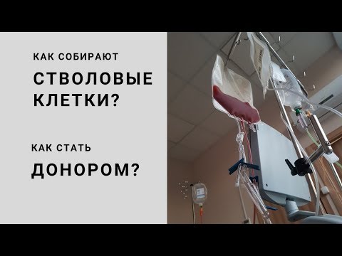 Как стать донором костного мозга в санкт петербурге