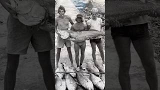 The BIGGEST Mulloway Haul Of All Time!! Full story - link in bio! #fishing #fish #mulloway #story