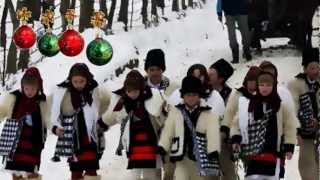 Tudor Gheorghe Colind