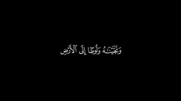 قُلنا يا نارُ كوني بَردًا وَسَلامًا __ كروما قران كريم شاشة سوداء __ محمد ايوب
