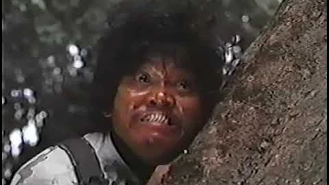 Pintsik (1994) DVDRip | Dennis Padilla,Donna Cruz,...