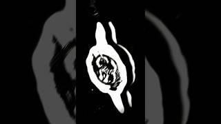montagem fearless ultra slowed🔥🔥#phonkmusic #phonk #music #bassboosted #usa #latino