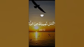 وابتغ في ما أتاك الله الدار الآخرة || القارئ حمزة يوسف