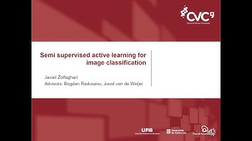 Javad Zolfaghari - Semi-Supervised Active Learning for Image Classification