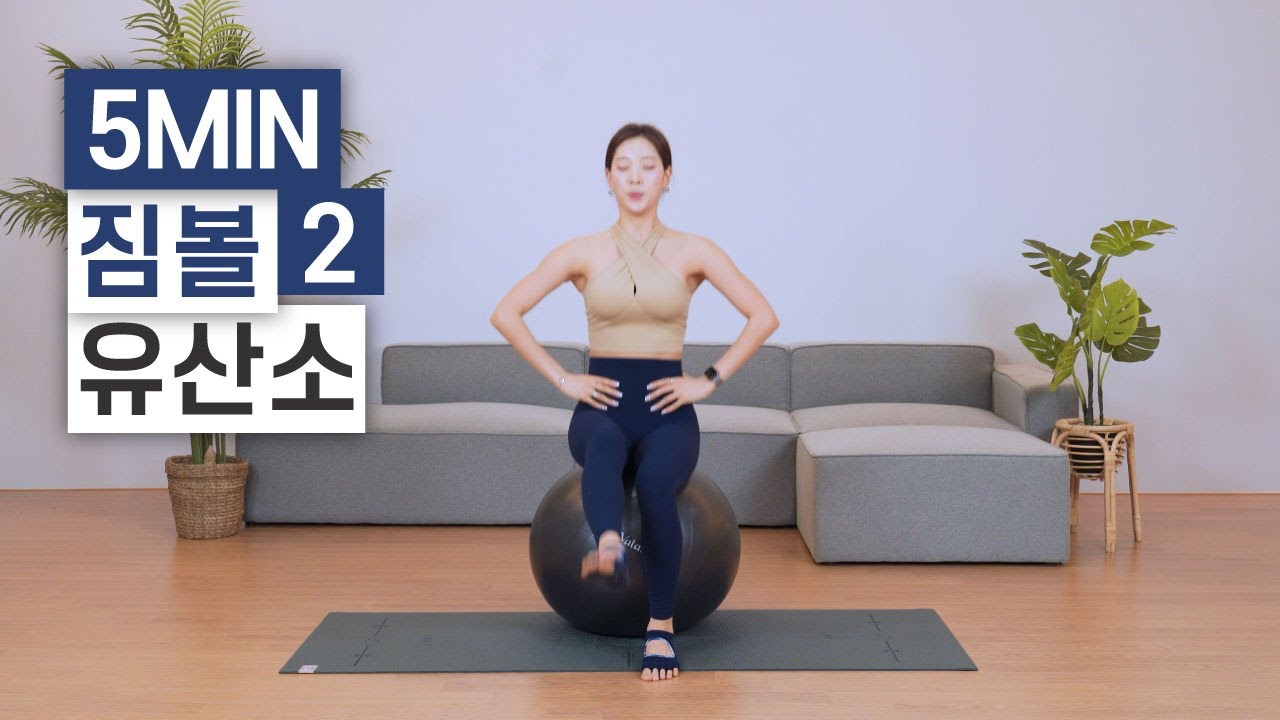 짐볼로 재미있게 5분 유산소 운동