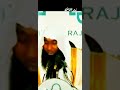 ما هى الرؤيه التى رأها عمربن الخطاب عن العدل وشكل عمر بن عبدالعزيز ش بدرالمشارى