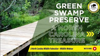 Green Swamp Preserve: A North Carolina Treasure - North Carolina Wildlife Federation