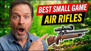 Top 6 Best Air Rifles for Small Game in 2026!