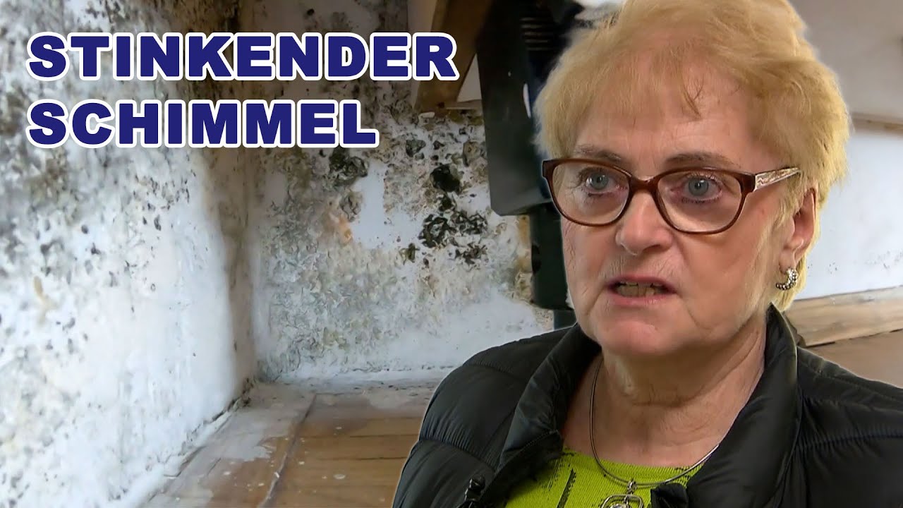 Horror-Schimmel in der Küche! Kann  Christian Horwath helfen? | Mein Recht! Ich geb nicht auf | ATV