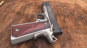Cover Image for Springfield Armory Ronin 10mm