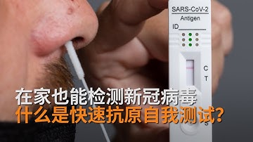 澳两大超市开售新冠病毒检测试剂：专家讲解在家如何做快速抗原测试？|专家解析 | SBS中文