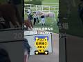☆カルパ総集編③☆ほぼ札幌競馬場2024☆No.190☆9月1日.札幌.12R☆ #カルパ #horse #サラブレッド #馬 #競馬場 #札幌競馬場