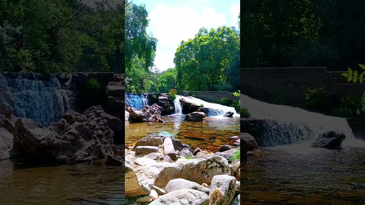 🇪🇸 🌳 🌊 Presa de Monteporreiro (Pontevedra) #Senderismo #Galicia #España #Shorts