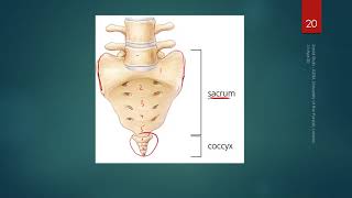 00_05_P2 The Structure of Backbone Profile