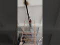 crane fiting mini