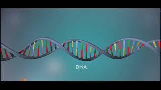 DNK Replikatsiyasi