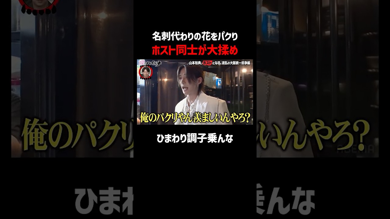 バラかひまわりか…因縁の新・旧白スーツが再び激突｜📢#愛のハイエナ シーズン６毎週火曜23時〜無料配信中！ #ニューヨーク #さらば青春の光 #山本裕典 #ホスト #軍神