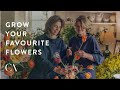 Create academy  a year of cut flowers with the land gardeners