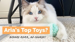 Aria’s Top Cat Toys  Before River Came Home. Watch Her Play!