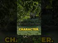 Success flows around obstacles, shaping your story in unexpected wa... #Shorts