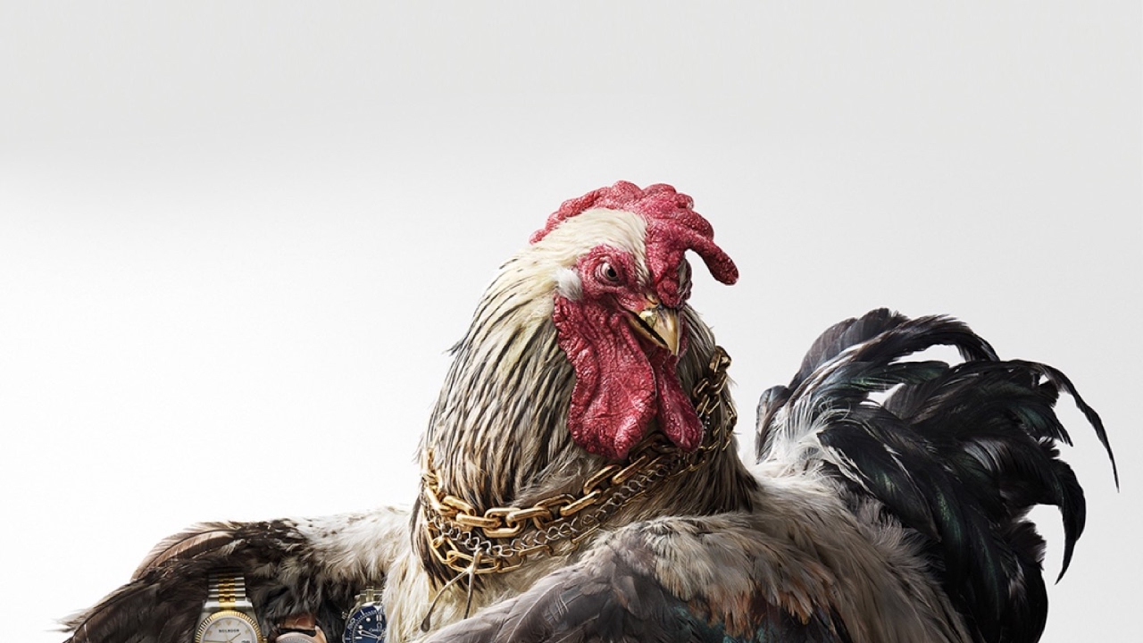 TTOOOPPPP 1 NEW MODE