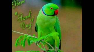 Best Good morning Ringtone For all in Hindi