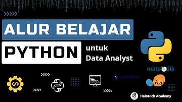 Alur Belajar Python untuk Data Analyst