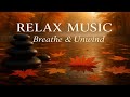 Relax Music — Breathe & Unwind | Peaceful Autumn Vibes