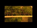 Grow Log #8 A few days before flower